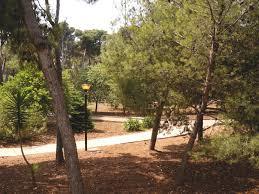 Pineta San Francesco